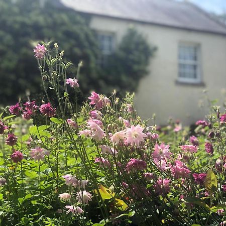 Dalton House Bed And Breakfast Dış mekan fotoğraf